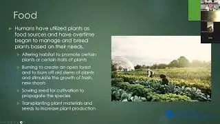 Ethnobotany