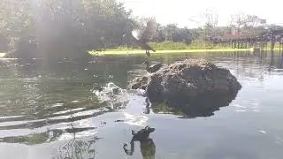 Lagoa Santa. (GO)