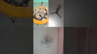 Вращение потолочного вентилятора #видео #вирусное #вирусноевидео #вирусныекороткометражки #youtub...