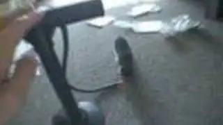 Jumping Kitten