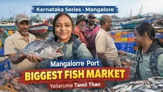 Mangalore Port Biggest fish market(Bunder) -Whats happening in side the port (Tamil people are here)