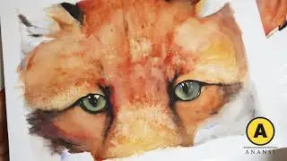 The Lost Spells - The Red Fox