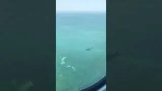 Shadow of Plane in The Sea #journey #shortvideo