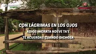 En tu ventana. Los Hermanos Barrios y D&uacute;o &Uacute;beda Ch&aacute;vez. Chamam&eacute; 2.0