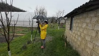 Gradinari pe vreme rea - cand natura n-are chef de colaborare!
