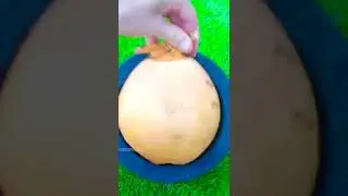 How could yellow coconut taste so different 😳 Wait for it !