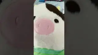 Connor da cow