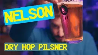 Nelson Dry Hop Lager   Burns Supper