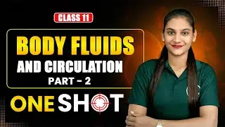 Body Fluids and Circulation Class 11 One Shot 🔥 | New NCERT Chapter 15 | NEET 2026 & CBSE