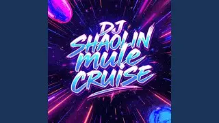 DJ SHAOLIN mule cruise