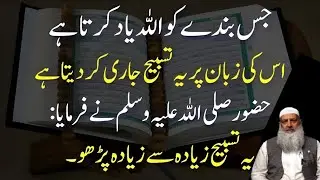 Jis Ko Allah Yaad Karta Hai Uski Zaban Par Ye Tasbih Jari Ho Jati Hai | Hazoor ﷺ Ka Farman | 