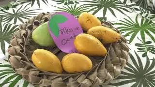 Colors of Paradise Ep 2 Agat Mango Festival