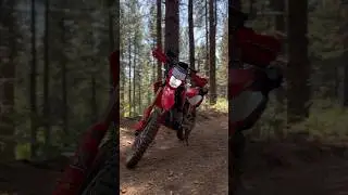 Wrights Crossing #dualsport #crf300l #dirtbikeadventures #enduro #adventurebike #hondamotorcycle #YT