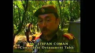 Cercetasi Tabara Vadu