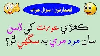 New Sindhi Riddles | Sindhi Paheliyan | Sindhi Sawal Jawab