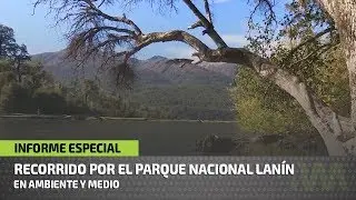 Lanín National Park