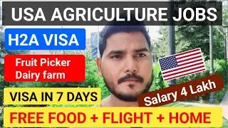 Farm Jobs USA 🇺🇸  | Agricultur work visa H2A | visa in 7 days | No Age Limit