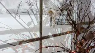 Weihnachten 2010