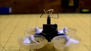 Tiny Whoop | Touch N Go RC