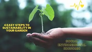 4 Steps to be Sustainable in Your Garden | EBLLC, Inc.