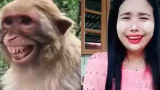 Troll Frank Dog🤣🤣