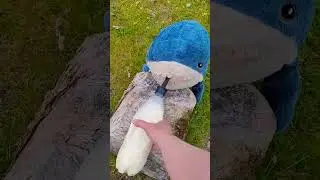 Blahaj takes lambs bottle #blahaj #shark #ikea #lamb #cute #funny #shorts #subscribe
