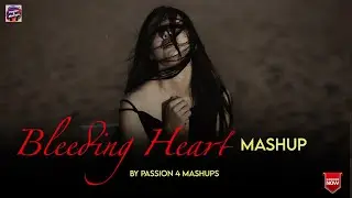 Bleeding Heart Mashup 2025 ( Passion 4 Mashups ) | Sadness Chillout