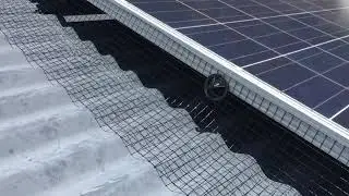 Brisbane Solar Pigeon Proofing-Crystal Clear Solar