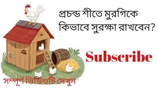 প্রচন্ড শীতে মুরগিকে কিভাবে সুরক্ষা রাখবেন?🐔#foryou#viralvideo#chicken#hen#subscribe#like#comment
