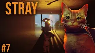 Hej Momo, chcesz usłyszeć fraszkę? | Stray PL [#7]