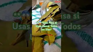 🌿Beneficios del Laurel &iexcl;El Remedio Casero Olvidado!