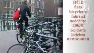 Lovemarks Trend: Bicycles