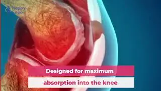 Happy Knee&trade; - It's time to meet our useful and groundbreaking formula.