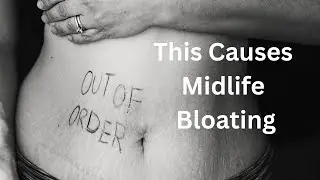 Bloating & Food Reactions in Perimenopause? Check Your Bile