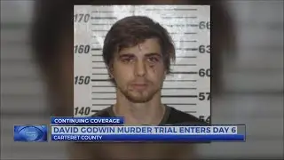 David Godwin Murder Trial Day 6: Defense attorney starts to build case