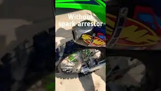 With or without spark arrestor?