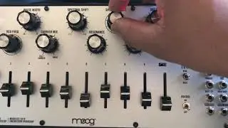 Moog Spectravox First Look