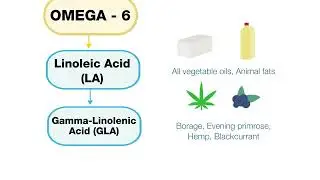 OMEGA-3 and OMEGA-6 Pathways