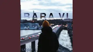 Bara vi