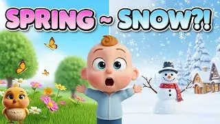 🌸❄️Spring to Snow | Fun Seasons Song for Kids & Toddlers