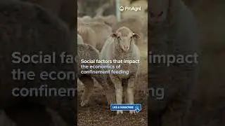 Social factors that impact the economics of livestock feeding