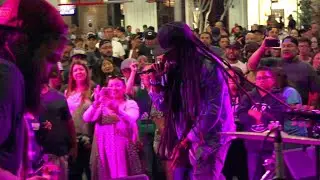 Arise Roots - Nice and Slow Tour 2018 (Montage Video HD)