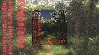 Hout (RU) - Straholesje (2023, EP)