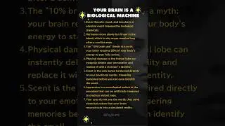 Damaged Frontal Lobe, Completely Different Person #psychology #science #shorts