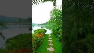 Nature Beauty- #viralvideo #youtubrshorts #amazing