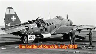 the Ilushin I L2 Sturmovik the flying tank in the pantheon of World&nbsp;War&nbsp;2&nbsp;aircraft