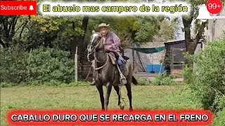 Freno paton para sujetar caballos sera la ¿ SOLUCIÓN ?✅️ ⚠️🇦🇷 #doma