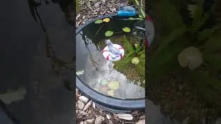 Die Anf&auml;nge vom Deko Miniteich