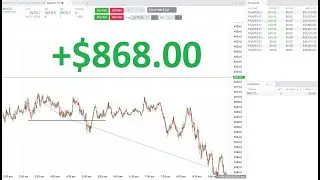 Trading Journal &ndash; Day 44 | PA Apex, FundedNext Challenge and My account