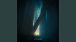 Not Alone